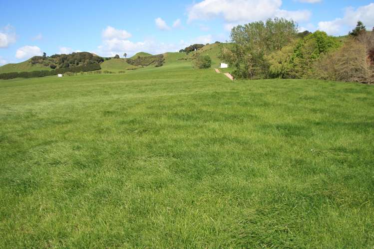 734 Bird Road Pukengahu_19