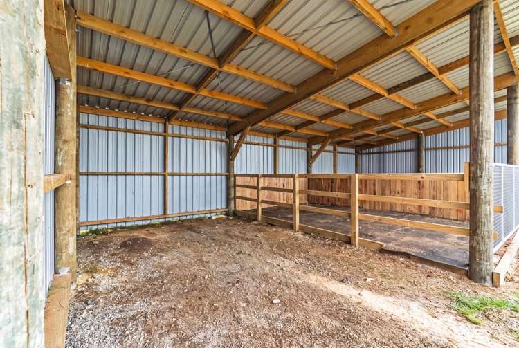 175A Stanners Road Kerikeri_14