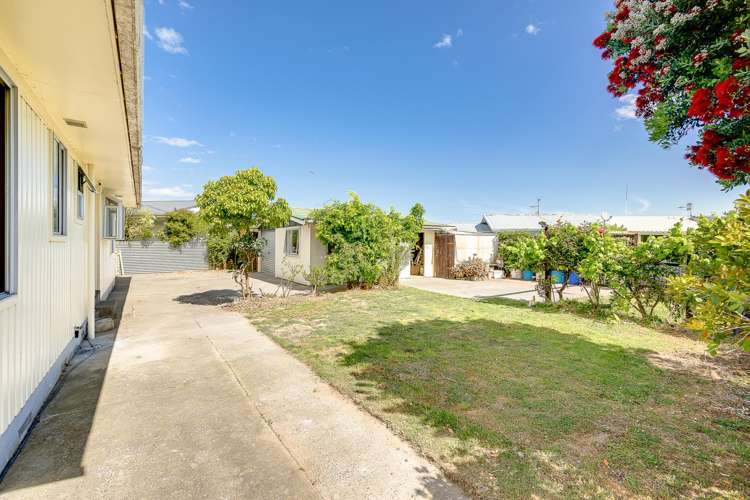 5 Plunket Street Tamatea_5