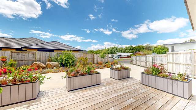 8 Waimarie Way Thames_3