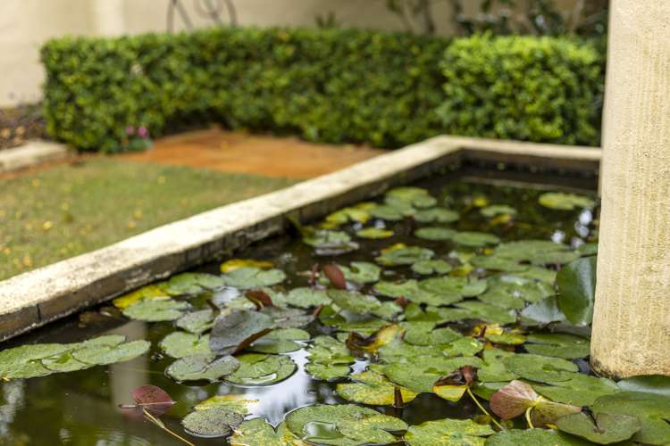 1a Ada Street Remuera_17