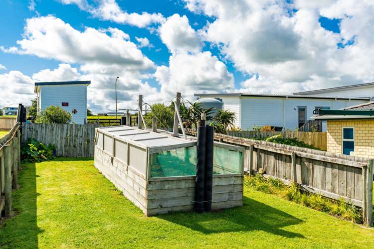 46 Sunset Drive Dargaville Surrounds_17