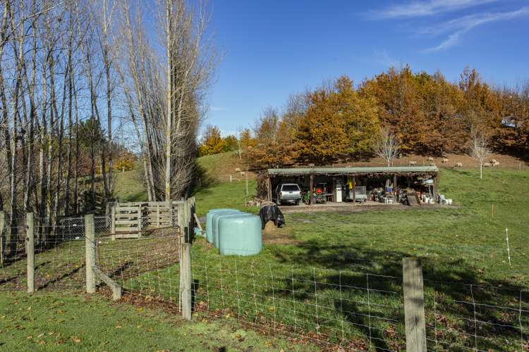 149 Parnassus Road Cheviot_14