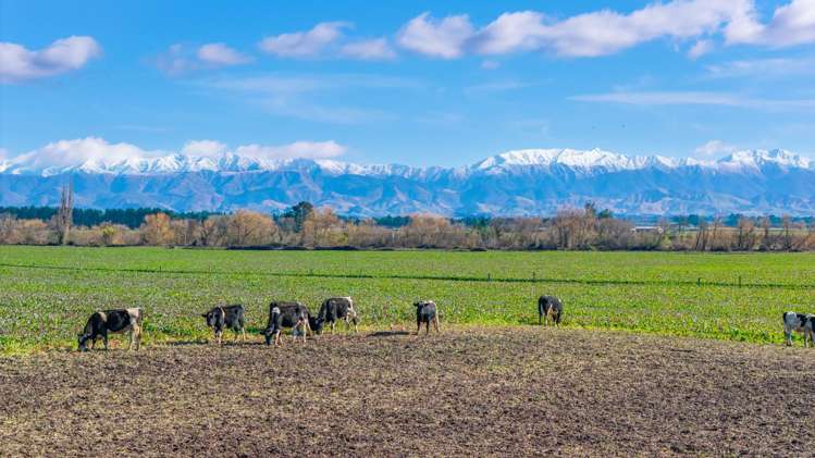 3962 State Highway 2 Takapau_10