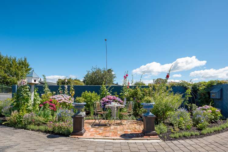 217 High Street Blenheim Central_5