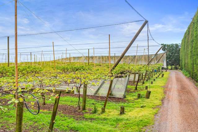 101 Pukehina Station Road Pukehina_1