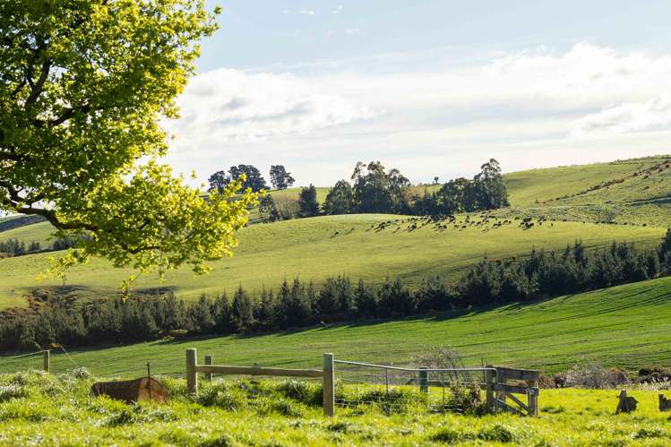 Rowallan Road Darfield_30