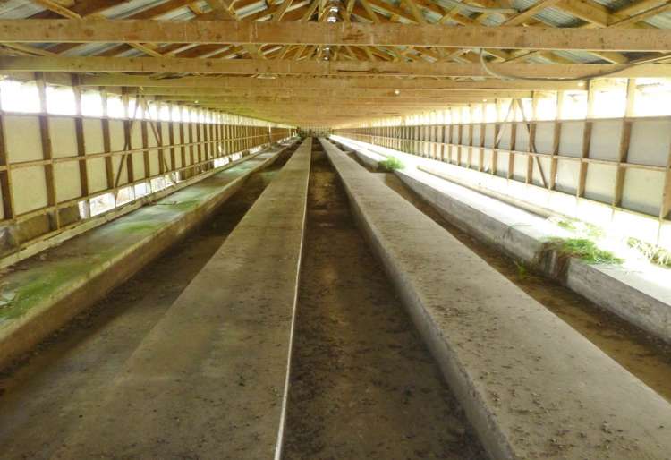 757 Glenbrook Road Kingseat_16