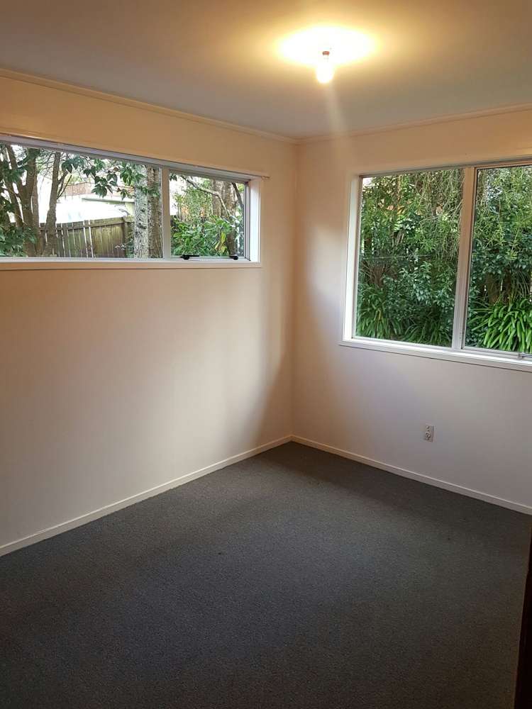 35 Leo Street Glen Eden_9