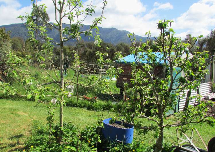 1712 State Highway 7 Moana / Lake Brunner_33