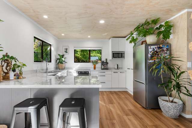 338 Onemana Drive Onemana_2