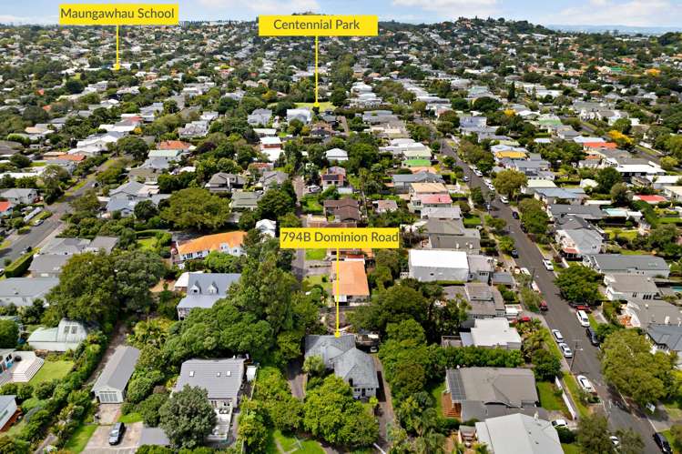 794B Dominion Road Mount Eden_10