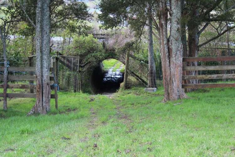 41 View Road Hikurangi_10