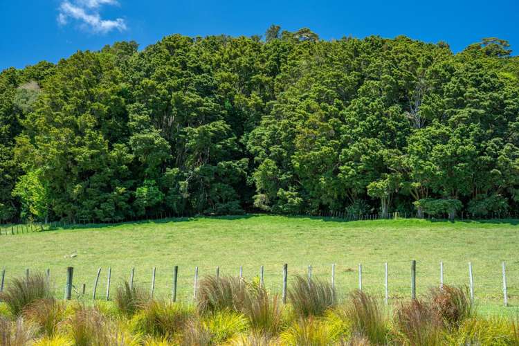 47 Rockingham Road Glenbervie_38