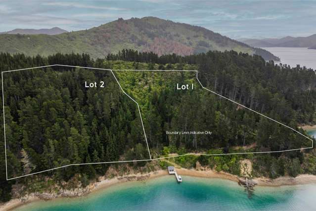 Lots 1 & 2, 0 Ahitarakihi Bay Queen Charlotte Sounds_1