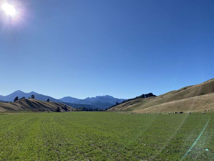 3459 State Highway 63 Wairau Valley_12