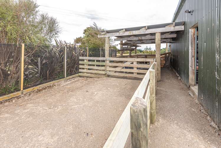 162 Reynolds Road Ratana_14