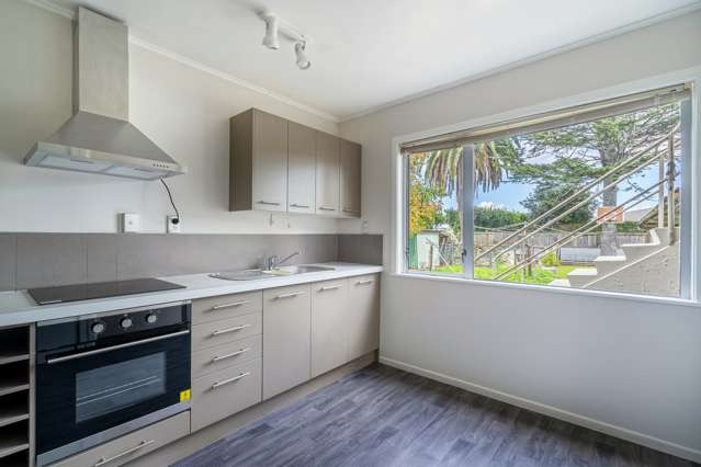 22b Riverview Road Panmure_3