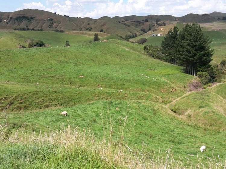 446 Stanley Road Te Popo_29