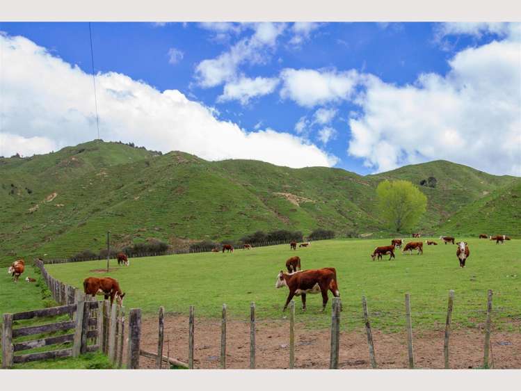 368 Kirikau Valley Road Ruapehu_19