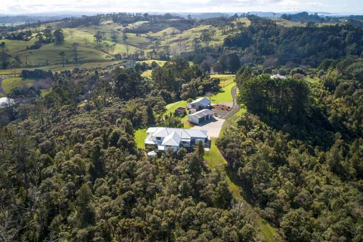 291 Horseshoe Bush Road Dairy Flat_21