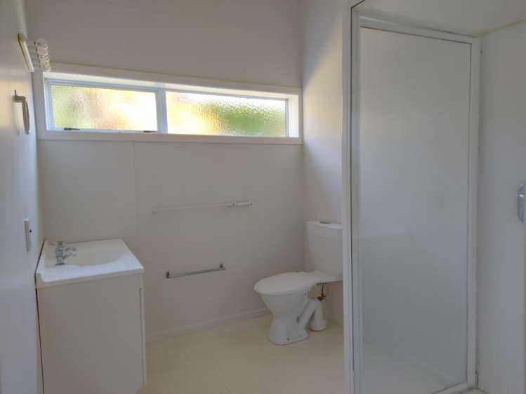 23 Puriri Street 11201_9