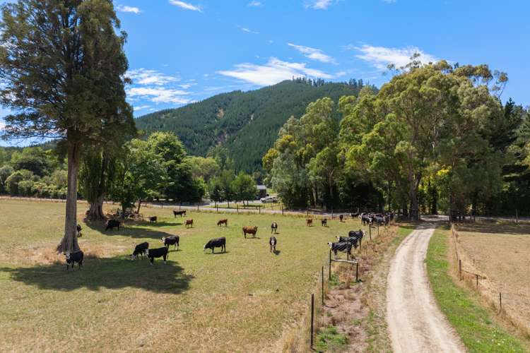 407 Onamalutu Road Wairau Valley_16
