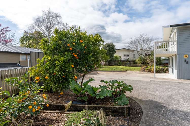 26 Thomson Avenue Dinsdale_22