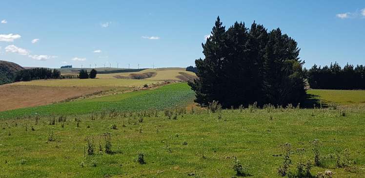 890 Mount Stuart Road Balclutha_8