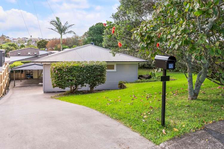 12 Aragon Avenue Glendowie_27