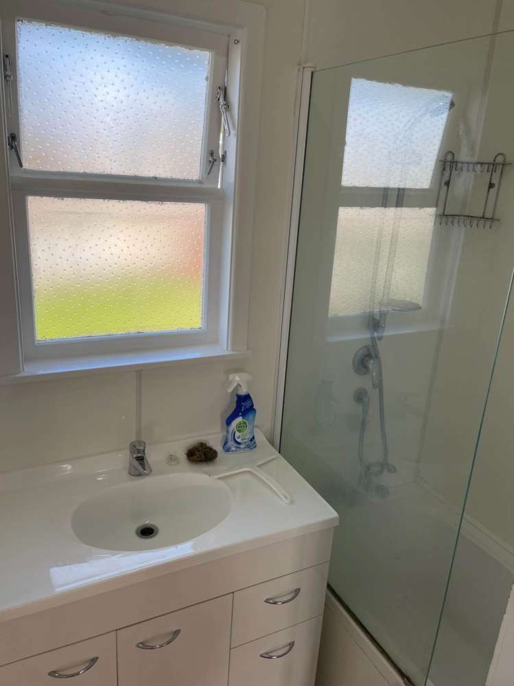 109 Vodanovich Road Te Atatu South_7