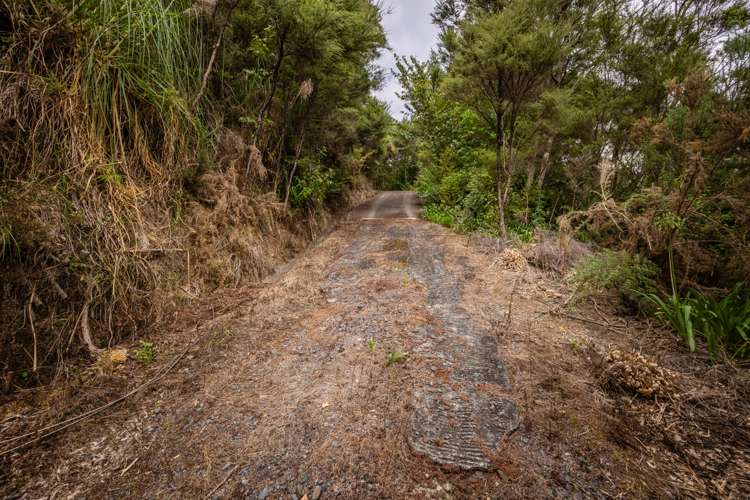 Waimangaro Road Opua_5