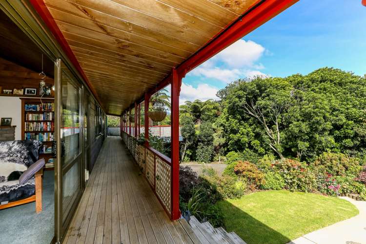 59b Manu Crescent Upper Vogeltown_15