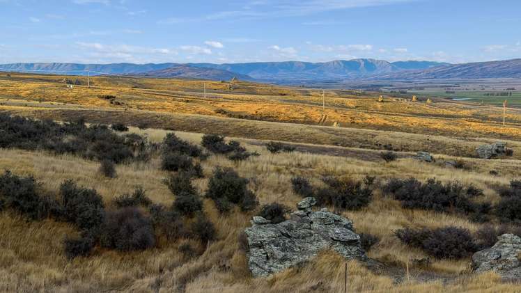 Lot 1, McIntosh Road Ophir_5