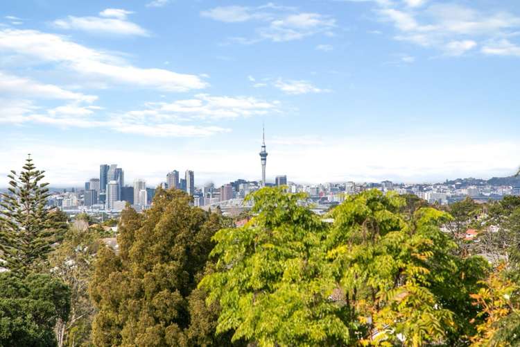 2/4 City View Terrace Birkenhead_17