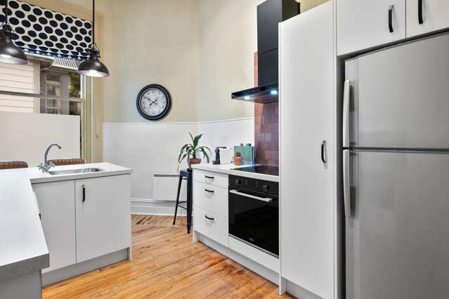 107a Stafford Street Dunedin Central_1