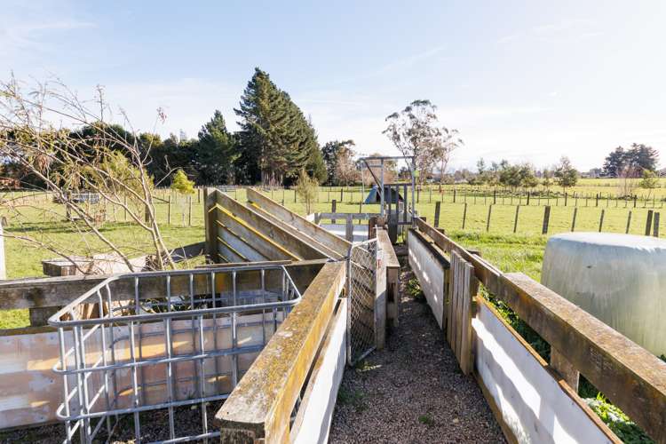 62 Nga Tawa Road Marton_13