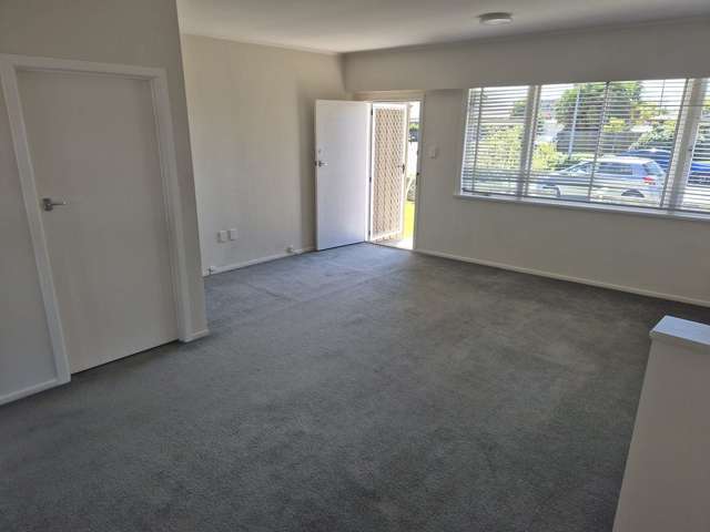 2/310 Lyndon Road West Hastings_1