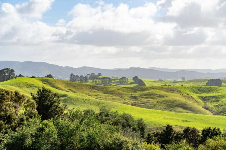 429 Glenmohr Road Waipu_21