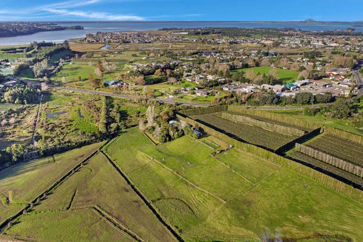 115 State highway 2 Katikati_20