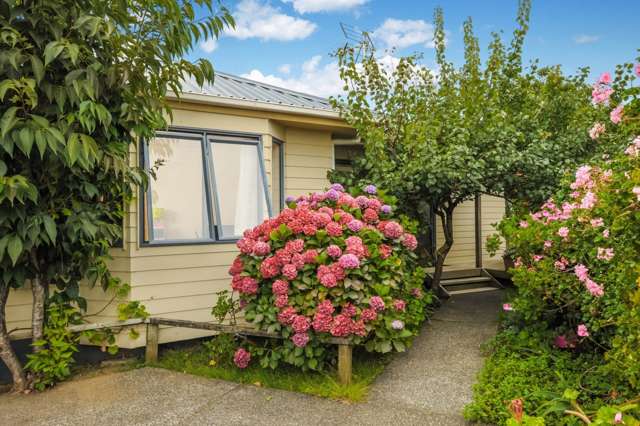 133a Richardson Road Mount Albert_1