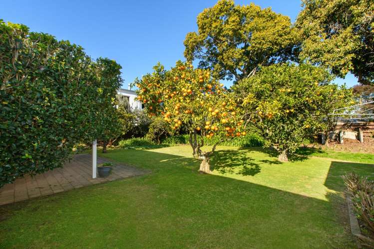 48 Waratah Street Matua_11