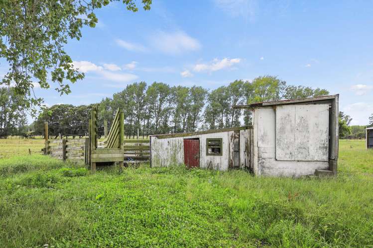 649 Wani Rd Paeroa_7