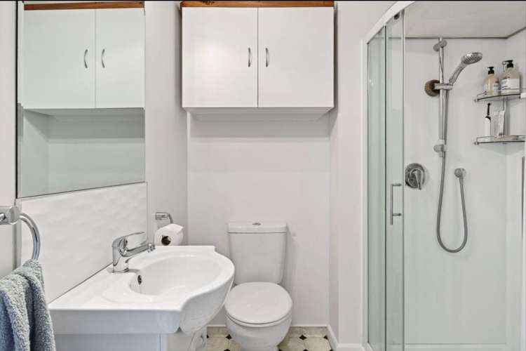 17A Salisbury Road Awapuni_18