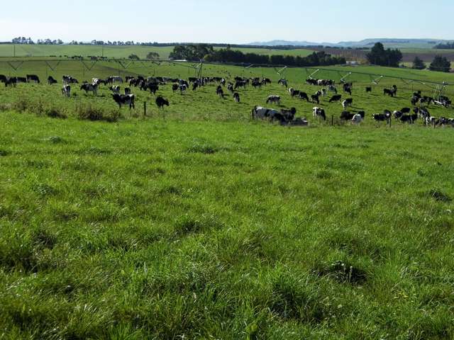 301 Whartons Road Five Forks and Surrounds_4