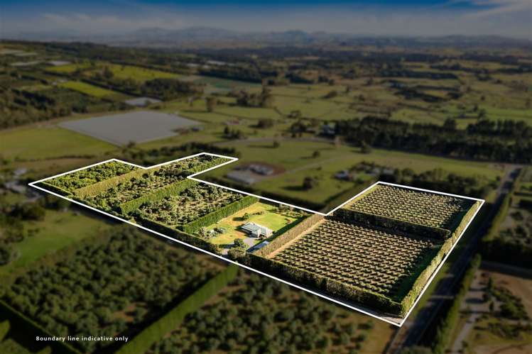 42 Snooks Road Maungatapere_24