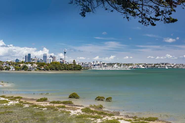 13 Herbert Street Hauraki_20