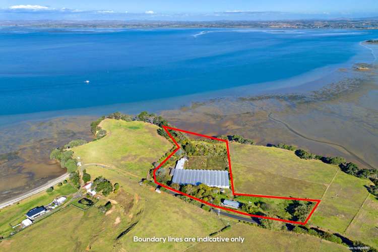 144 Kauri Road_0