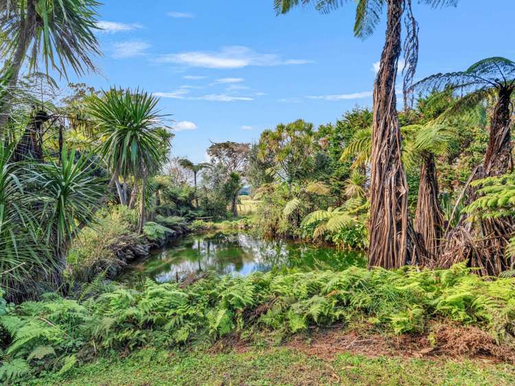 245 Taurangaruru Road Waiuku_22