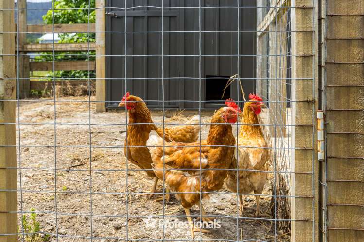 1140A Maymorn Road Maymorn_22